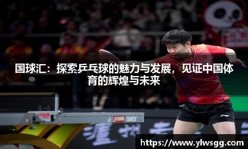 国球汇：探索乒乓球的魅力与发展，见证中国体育的辉煌与未来