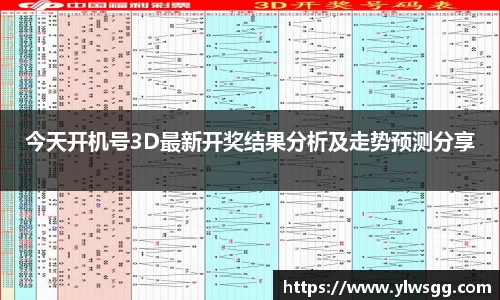 今天开机号3D最新开奖结果分析及走势预测分享